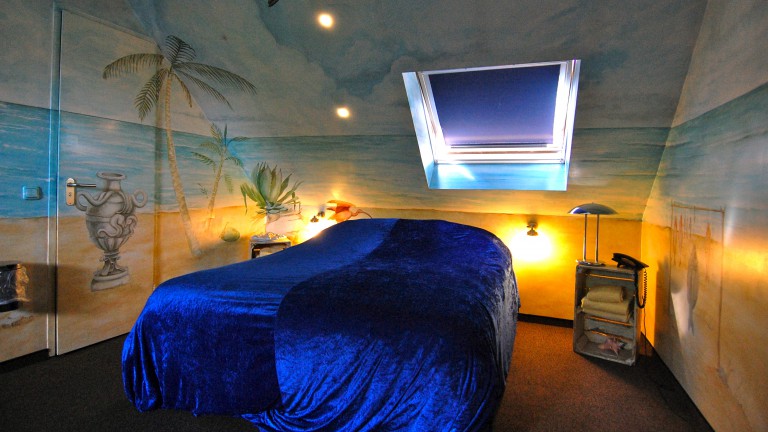 Thema kamer - Hotel de Plataan Delft Centrum