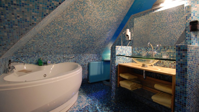 Thema kamer - Hotel de Plataan Delft Centrum