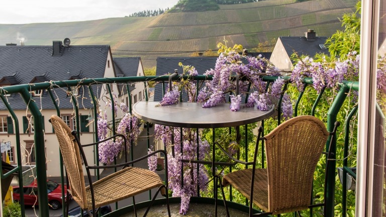 Panorama Suite Weinbergblick - Ferienresidenz Brauneberger Hof