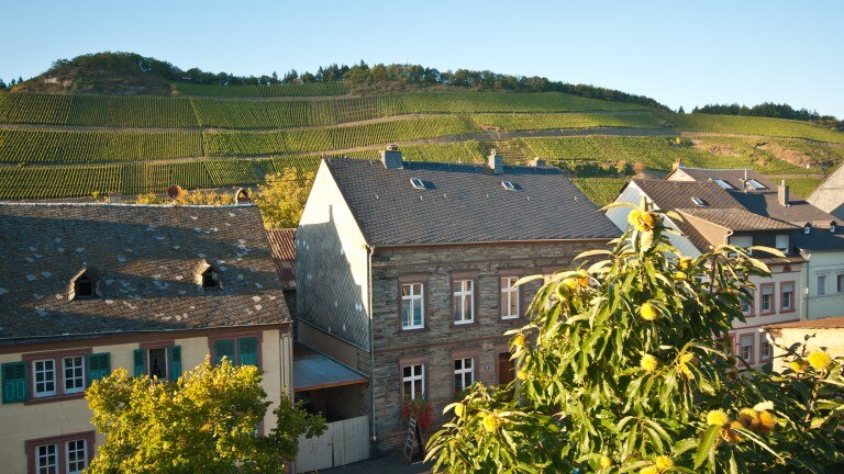 Panorama Suite Weinbergblick - Ferienresidenz Brauneberger Hof