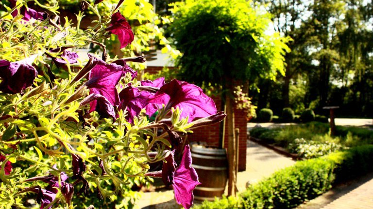 Tuin - Hotel t Holt