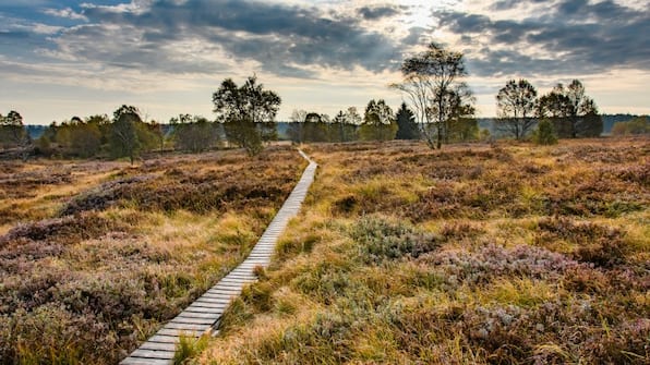 Omgeving - Hotel Le Postillon