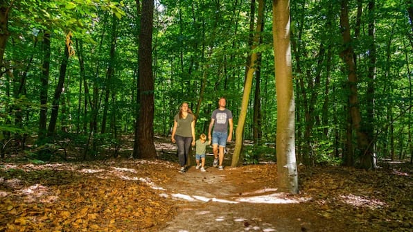 Omgeving - EuroParcs Bad Hoophuizen Omgeving - EuroParcs Bad Hoophuizen