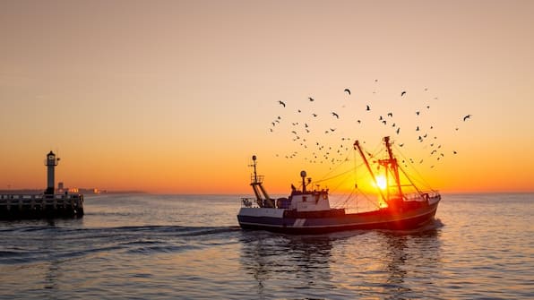 Omgeving - Hotel Restaurant Packhaus