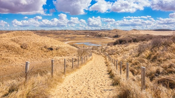 Nationaal Park Zuid-Kennemerland - IntercityHotel Amsterdam Airport