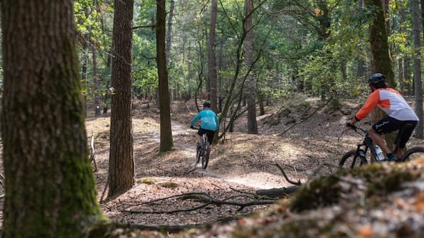 Omgeving - Landgoed 't Wildryck