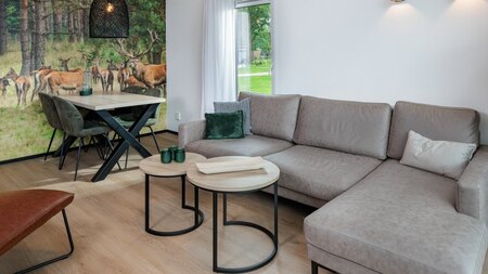 Wohnzimmer - Roompot Vakantiepark Schaijk