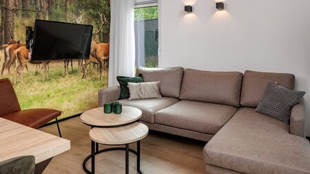 Wohnzimmer - Roompot Vakantiepark Schaijk
