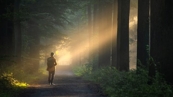 Wandelen - Veluwe Hotel Stakenberg