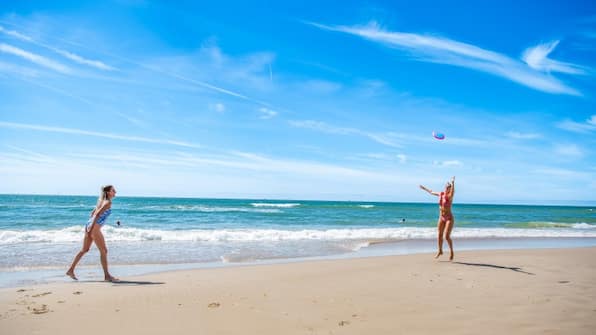 Omgeving - EuroParcs De Woudhoeve Omgeving - EuroParcs De Woudhoeve