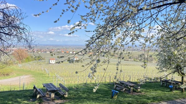 Umgebung - Gutshof Ziegelhutte