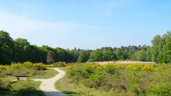 Omgeving - Bosvilla Overberg