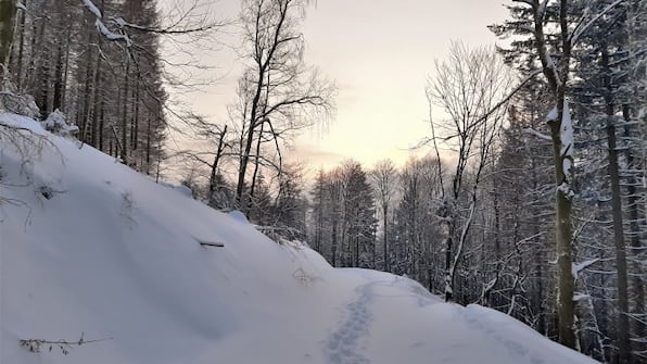Winter - Harz Hotel Iris