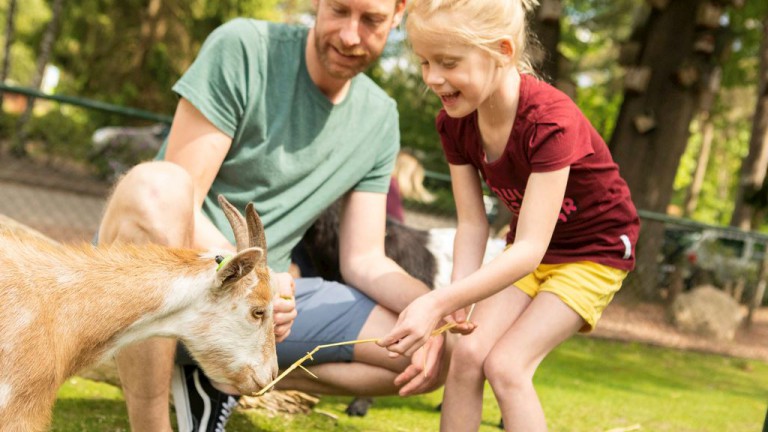 Kinderboerderij - Landal Heideheuvel