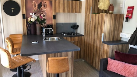 Wohnzimmer - EuroParcs Resort Veluwemeer