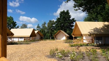 Außenansicht - EuroParcs Zilverstrand