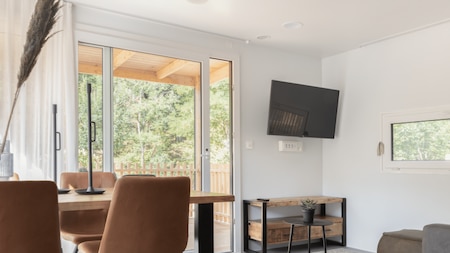 Wohnzimmer - EuroParcs Kohnenhof