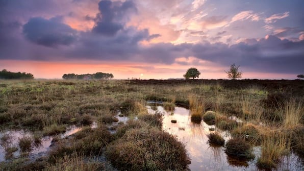 Omgeving - Herberg de Loohoeve