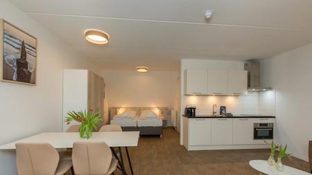 Wohn-Schlafzimmer - Aparthotel Zoutelande