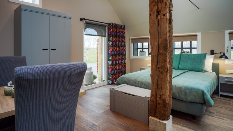 Standaardkamer - Bed and Breakfast Erve Groot Wegereef