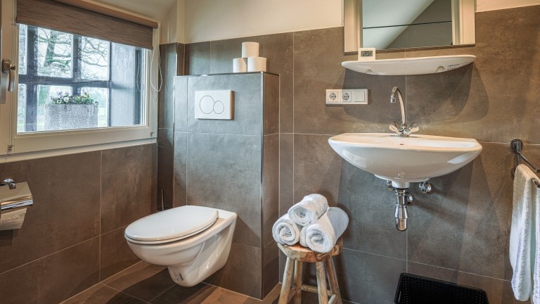 Standaardkamer - Bed and Breakfast Erve Groot Wegereef