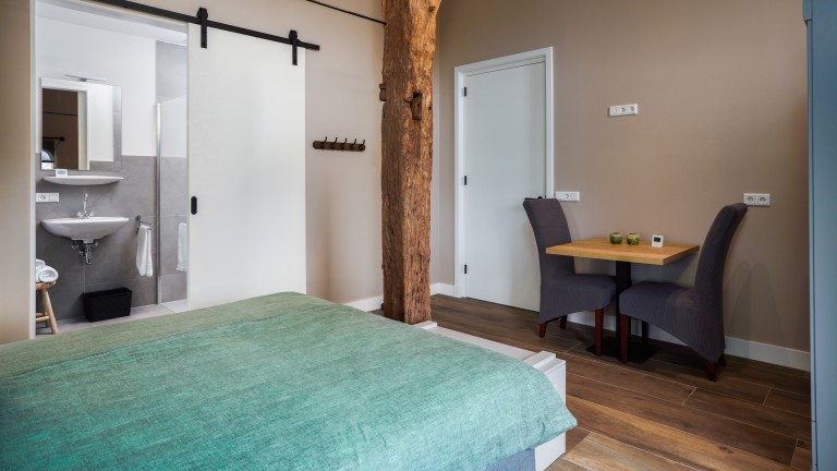 Standaardkamer - Bed and Breakfast Erve Groot Wegereef