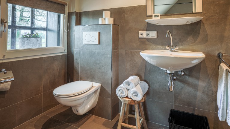 Standaardkamer - Bed and Breakfast Erve Groot Wegereef
