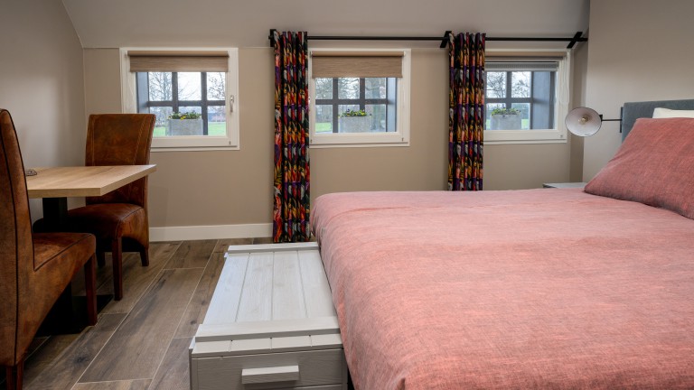 Standaardkamer - Bed and Breakfast Erve Groot Wegereef