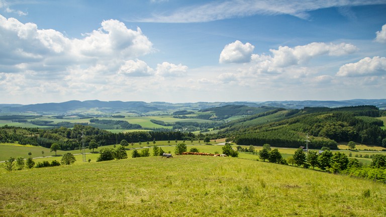 Umwelt - UplandParcs Sauerland