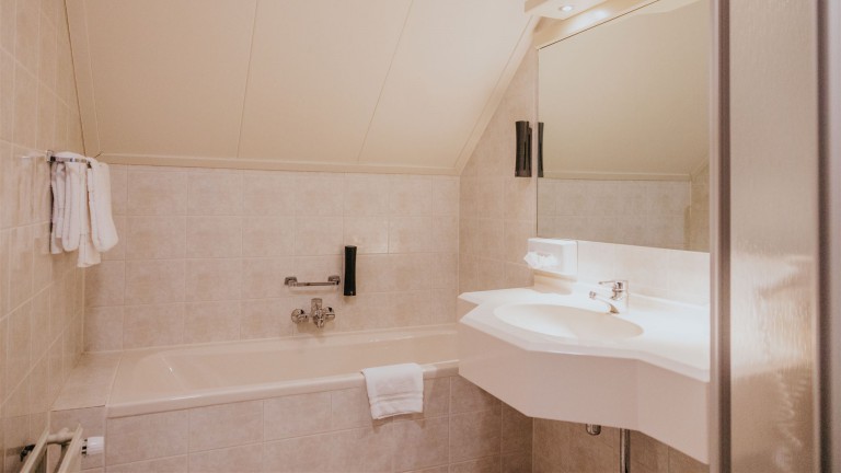 Deluxe kamer - Hotel Dorhout Mees