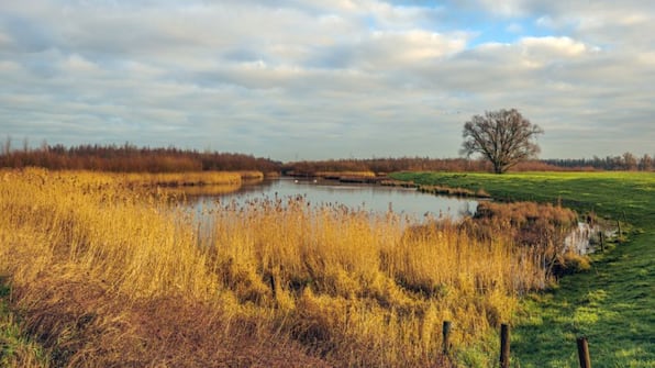 Nationaal Park De Biesbosch - Van der Valk Hotel Gorinchem