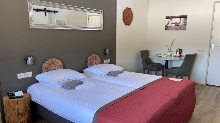 Standaardkamer - Landhotel Diever