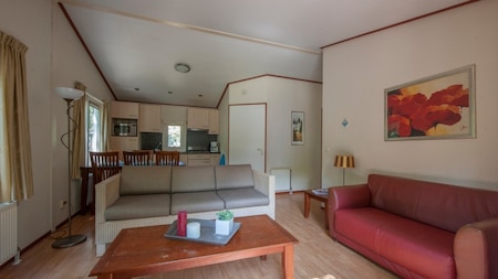 Wohnzimmer - Roompot Bospark t Wolfsven