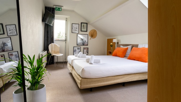 Standaardkamer met balkon - Hotel Restaurant de Loenermark