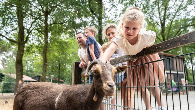 Kinderboerderij - Landal de Lommerbergen