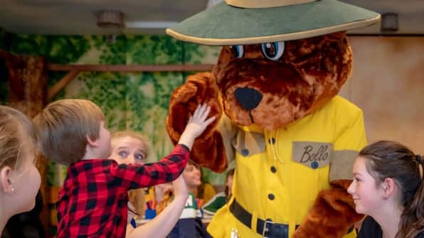 Bollo - Landal Aelderholt Bollo -Landal Aelderholt