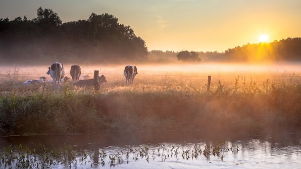 Omgeving - Erve Hulsbeek