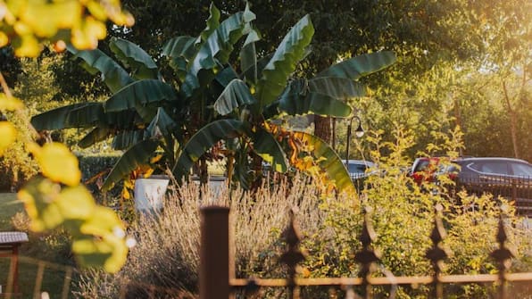 - Hotel und Weingut Karlsmühle - Hotel und Weingut Karlsmühle