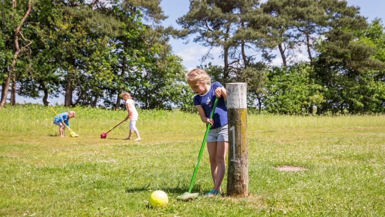 Voetgolf - Landal Twenhaarsveld