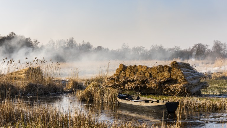 Nationaal Park Weerribben-Wieden - TULIP Hotels en Residences–Zwolle