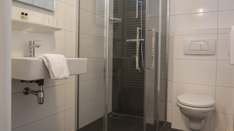 Deluxe kamer met terras - Hotel en Restaurant Wildthout
