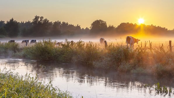 Omgeving - Bed and Breakfast Ootmarsum