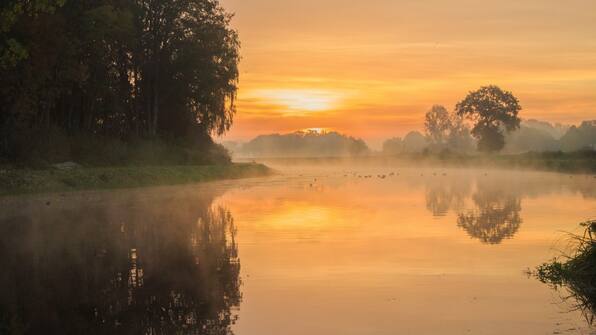 Omgeving - Hotel Berg en Bos
