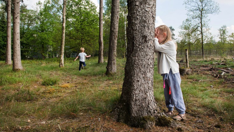 Spielen - Landal Bungalowpark Hoenderloo