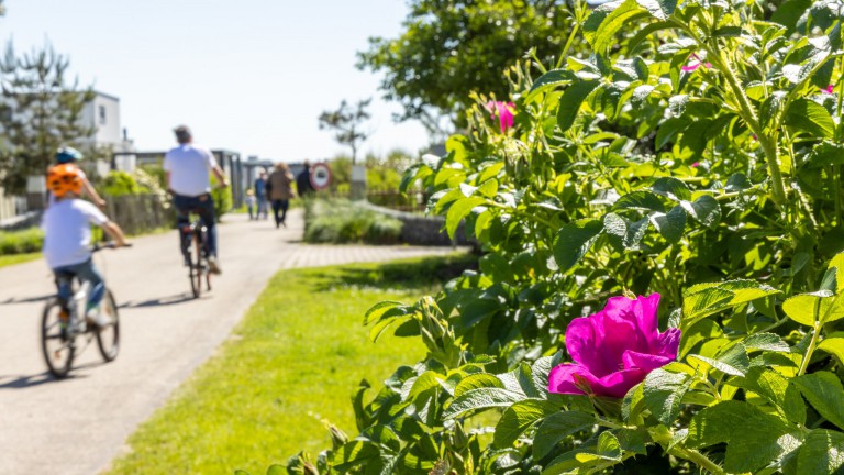 Landal Vakantiepark Callassande