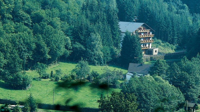 Wolffhotel