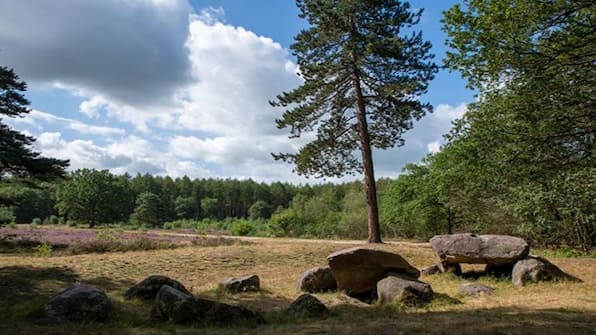 Dolmen - Hotel De Meulenhoek Dolmen - Hotel De Meulenhoek