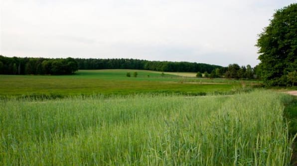 Omgeving - Hotel Restaurant Ruimzicht