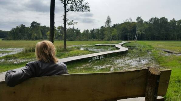 Omgeving - Vodatent Camping de Berghoeve