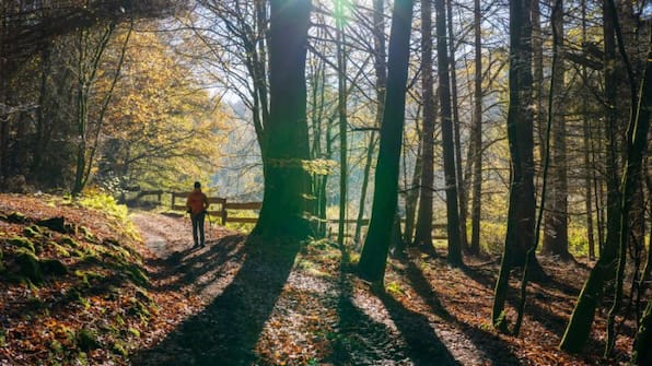 Umwelt - Hotel Restaurant Barbarossahof Umwelt - Hotel Restaurant Barbarossahof